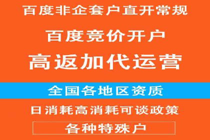 行业领先SEM竞价员的策略与实战案例